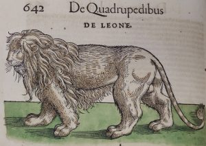 a woodcut of a lion
