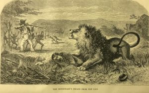 a black and write print of a man tying prone with a lion pouncing on his back
