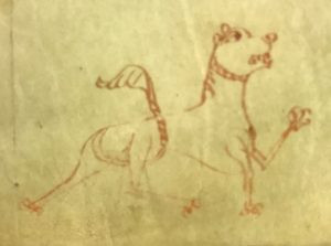 a medieval drawing of a lion